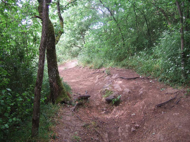 2011-05- (164).JPG